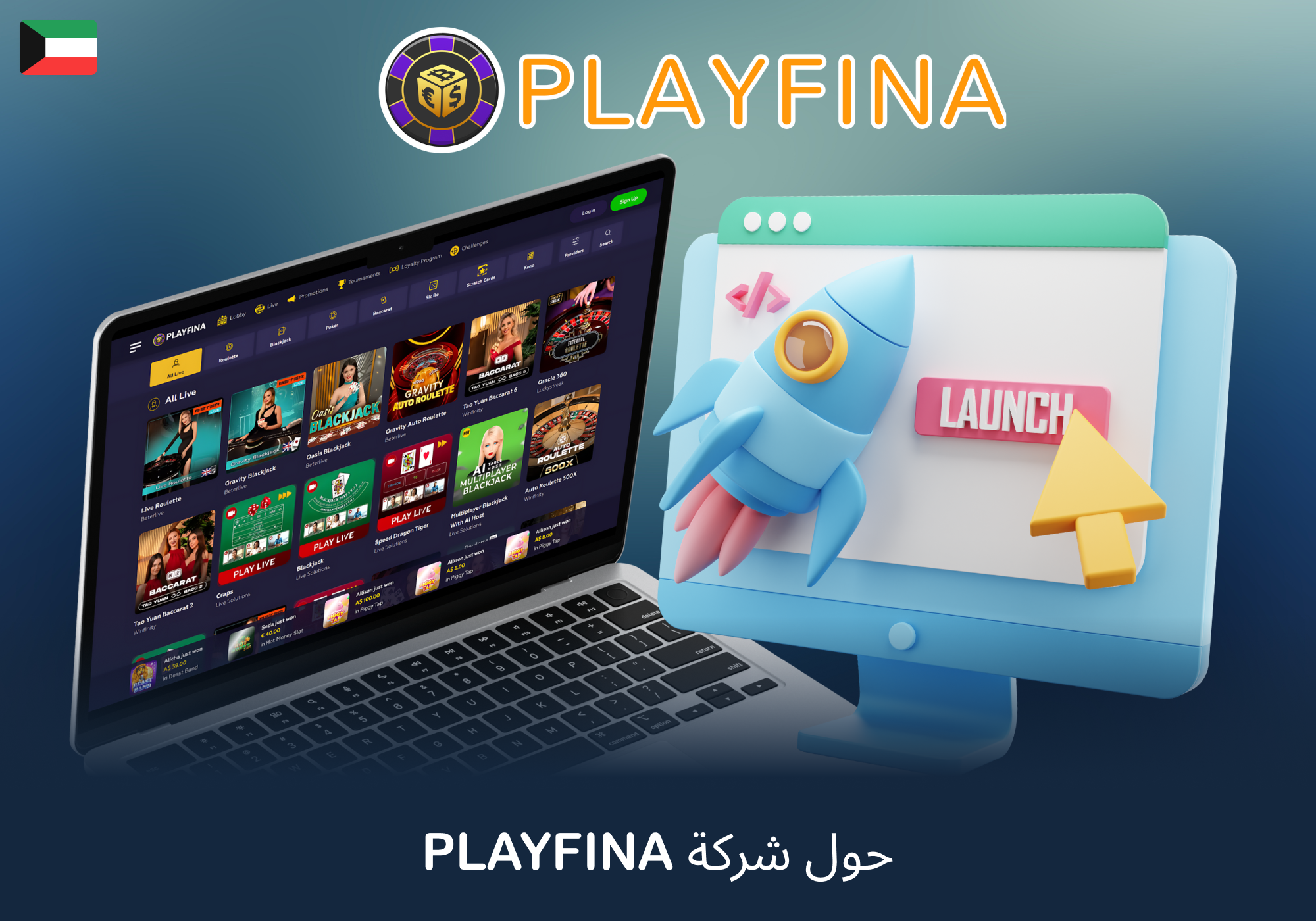 معلومات أساسية عن Playfina Casino